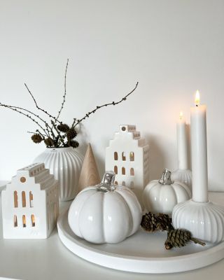 Jaká je vaše oblíbená barva bílá, bordó, mint, růžová nebo béžová?