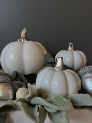 ✨ Minimalistická elegance na podzim ✨ Keramické bílé dýně jsou nadčasovou dekorací, která vnese do vašeho domova čistotu,...